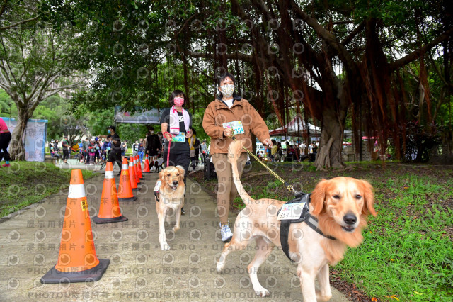 2021第四屆奔跑吧!毛小孩路跑綠寶石寵物公園場