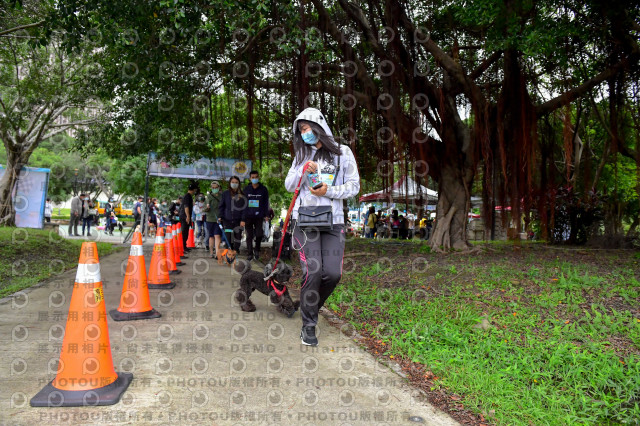 2021第四屆奔跑吧!毛小孩路跑綠寶石寵物公園場