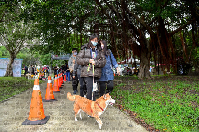 2021第四屆奔跑吧!毛小孩路跑綠寶石寵物公園場