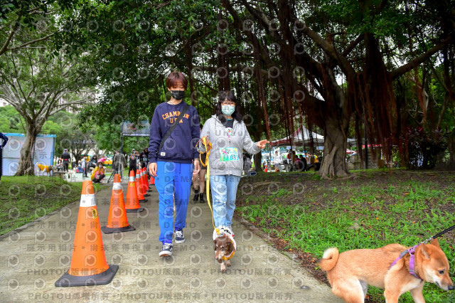 2021第四屆奔跑吧!毛小孩路跑綠寶石寵物公園場