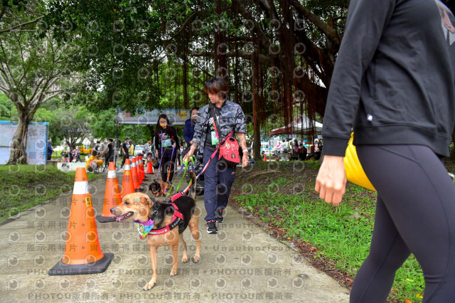 2021第四屆奔跑吧!毛小孩路跑綠寶石寵物公園場