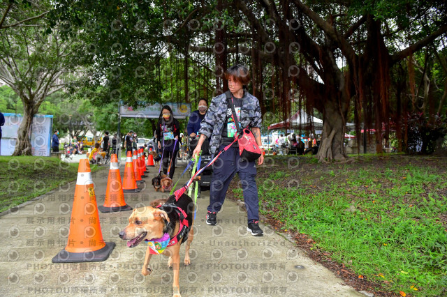 2021第四屆奔跑吧!毛小孩路跑綠寶石寵物公園場