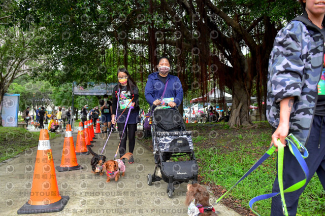 2021第四屆奔跑吧!毛小孩路跑綠寶石寵物公園場