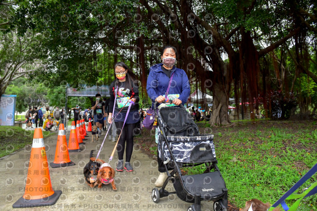 2021第四屆奔跑吧!毛小孩路跑綠寶石寵物公園場