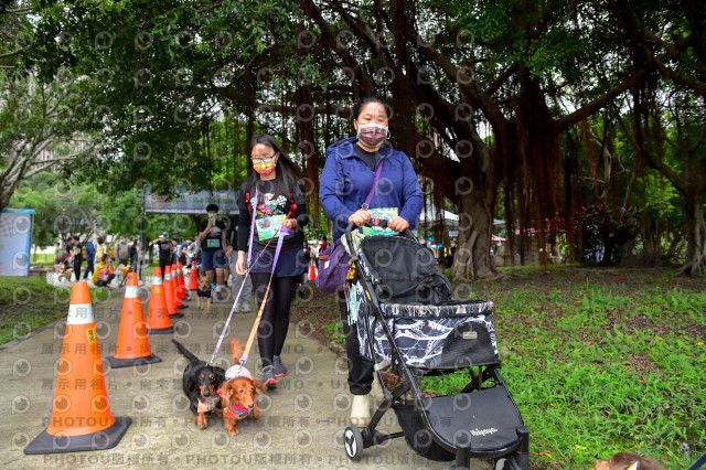 2021第四屆奔跑吧!毛小孩路跑綠寶石寵物公園場