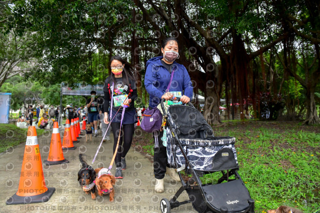 2021第四屆奔跑吧!毛小孩路跑綠寶石寵物公園場