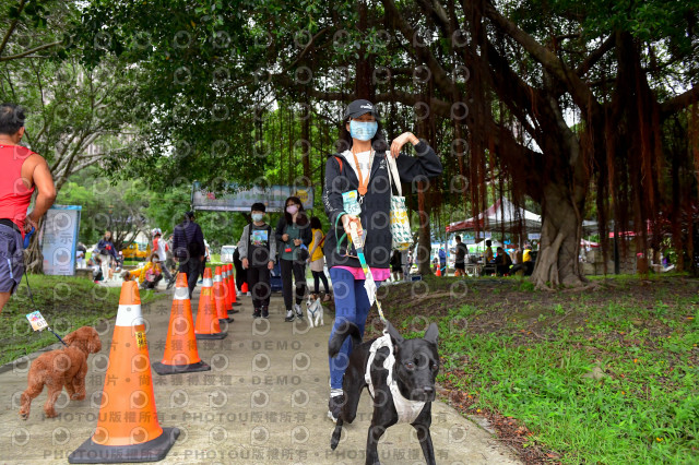 2021第四屆奔跑吧!毛小孩路跑綠寶石寵物公園場