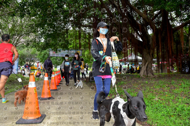 2021第四屆奔跑吧!毛小孩路跑綠寶石寵物公園場