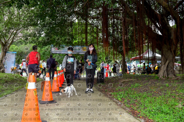 2021第四屆奔跑吧!毛小孩路跑綠寶石寵物公園場