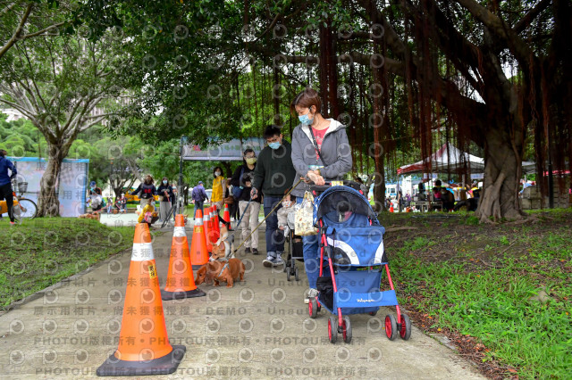 2021第四屆奔跑吧!毛小孩路跑綠寶石寵物公園場