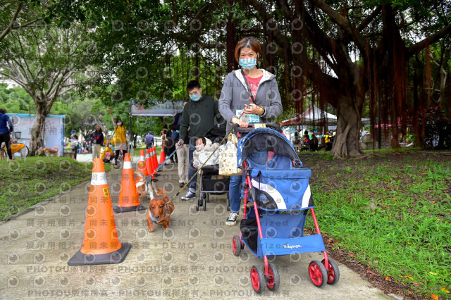 2021第四屆奔跑吧!毛小孩路跑綠寶石寵物公園場