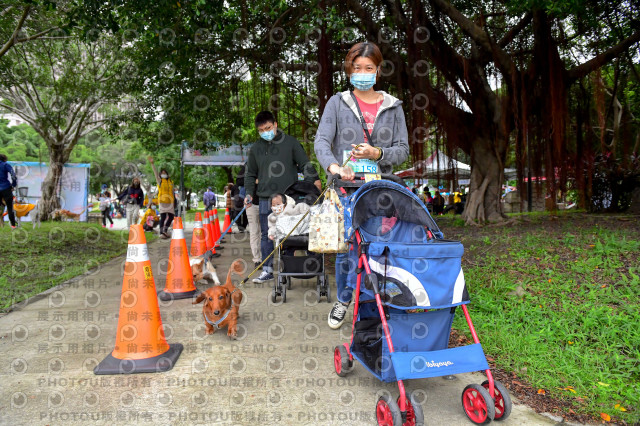 2021第四屆奔跑吧!毛小孩路跑綠寶石寵物公園場