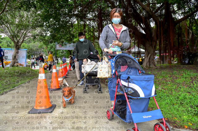 2021第四屆奔跑吧!毛小孩路跑綠寶石寵物公園場