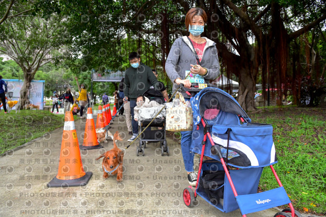 2021第四屆奔跑吧!毛小孩路跑綠寶石寵物公園場