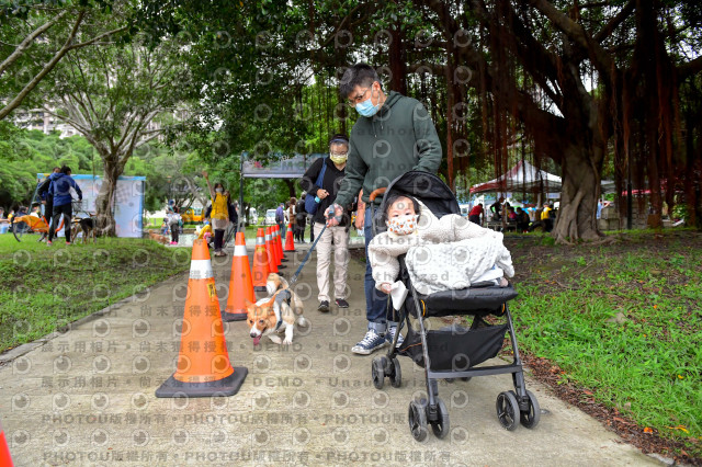 2021第四屆奔跑吧!毛小孩路跑綠寶石寵物公園場