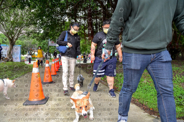 2021第四屆奔跑吧!毛小孩路跑綠寶石寵物公園場