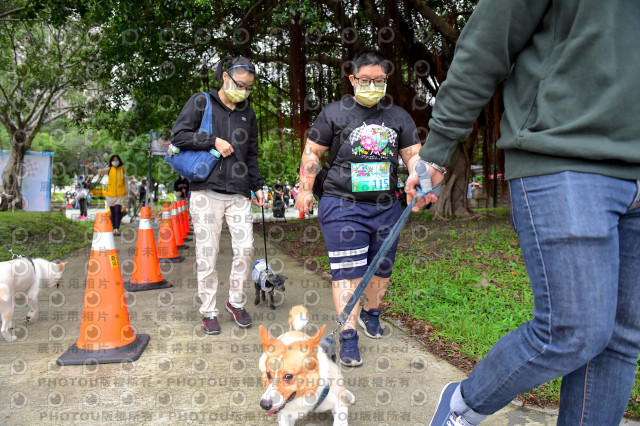 2021第四屆奔跑吧!毛小孩路跑綠寶石寵物公園場