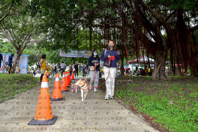 2021第四屆奔跑吧!毛小孩路跑綠寶石寵物公園場