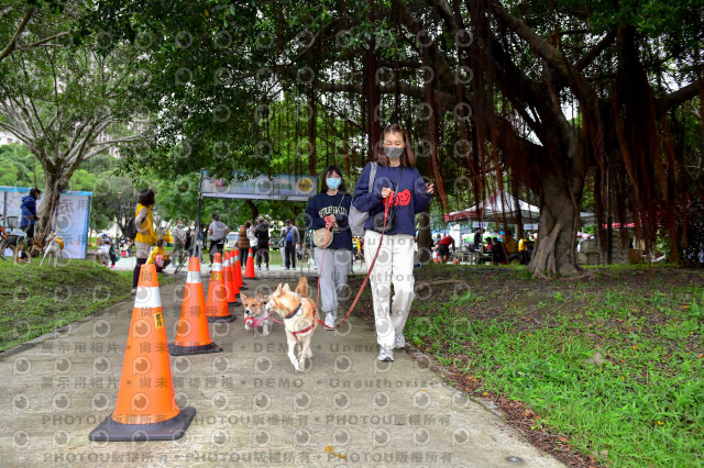 2021第四屆奔跑吧!毛小孩路跑綠寶石寵物公園場