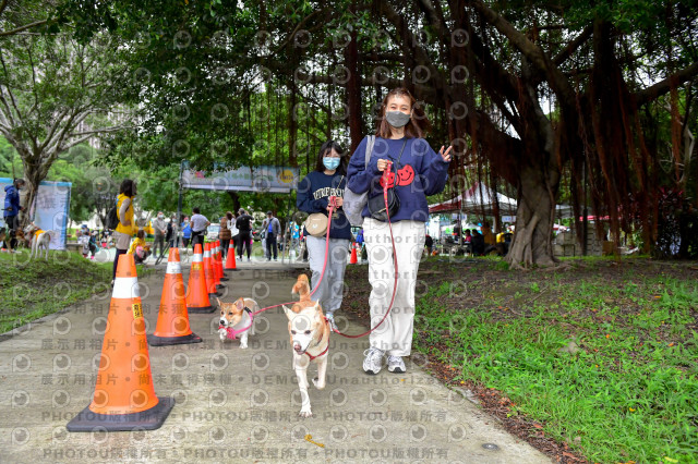 2021第四屆奔跑吧!毛小孩路跑綠寶石寵物公園場