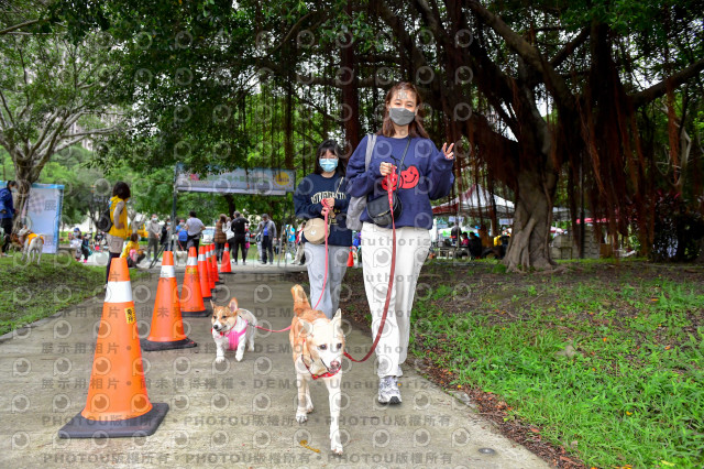 2021第四屆奔跑吧!毛小孩路跑綠寶石寵物公園場