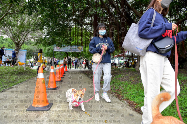 2021第四屆奔跑吧!毛小孩路跑綠寶石寵物公園場