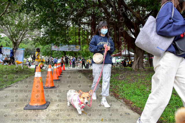 2021第四屆奔跑吧!毛小孩路跑綠寶石寵物公園場