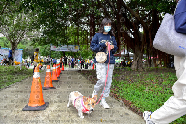 2021第四屆奔跑吧!毛小孩路跑綠寶石寵物公園場