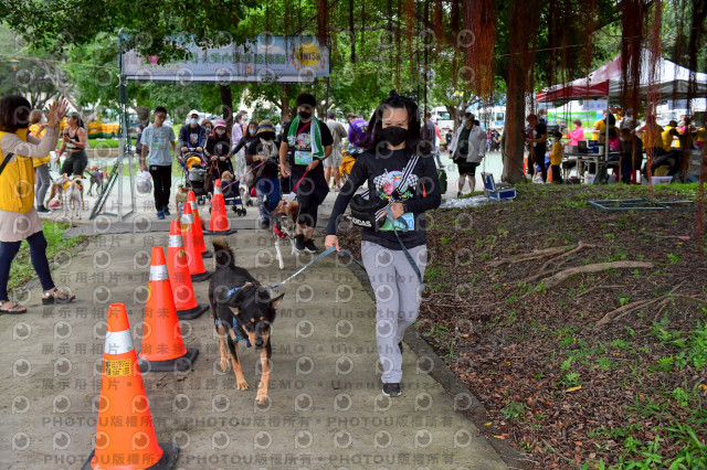 2021第四屆奔跑吧!毛小孩路跑綠寶石寵物公園場