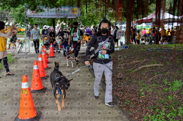 2021第四屆奔跑吧!毛小孩路跑綠寶石寵物公園場