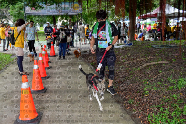 2021第四屆奔跑吧!毛小孩路跑綠寶石寵物公園場