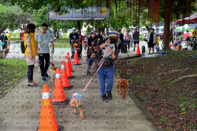 2021第四屆奔跑吧!毛小孩路跑綠寶石寵物公園場