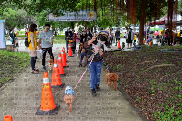 2021第四屆奔跑吧!毛小孩路跑綠寶石寵物公園場