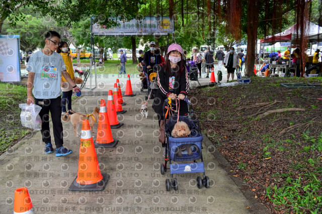 2021第四屆奔跑吧!毛小孩路跑綠寶石寵物公園場