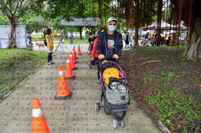 2021第四屆奔跑吧!毛小孩路跑綠寶石寵物公園場