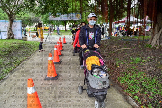 2021第四屆奔跑吧!毛小孩路跑綠寶石寵物公園場