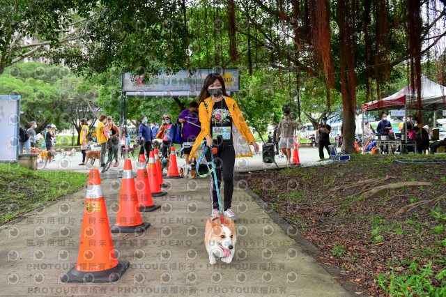 2021第四屆奔跑吧!毛小孩路跑綠寶石寵物公園場