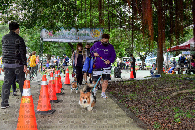 2021第四屆奔跑吧!毛小孩路跑綠寶石寵物公園場