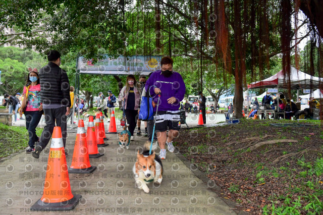 2021第四屆奔跑吧!毛小孩路跑綠寶石寵物公園場