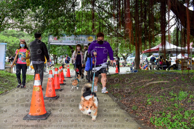 2021第四屆奔跑吧!毛小孩路跑綠寶石寵物公園場