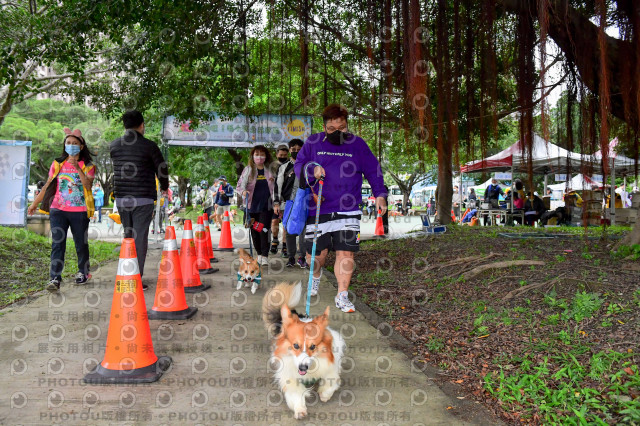 2021第四屆奔跑吧!毛小孩路跑綠寶石寵物公園場