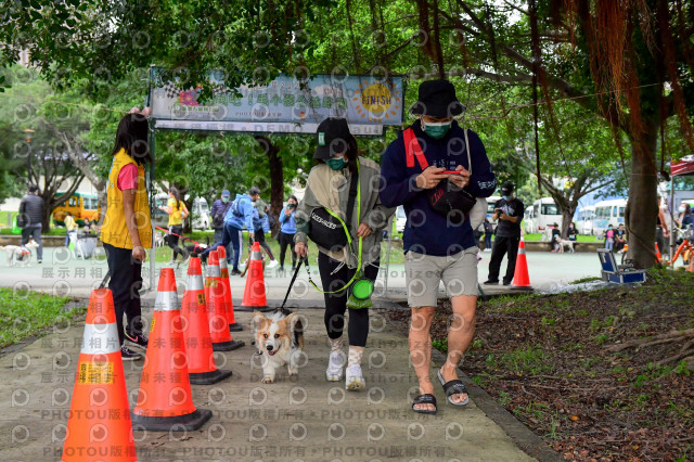 2021第四屆奔跑吧!毛小孩路跑綠寶石寵物公園場