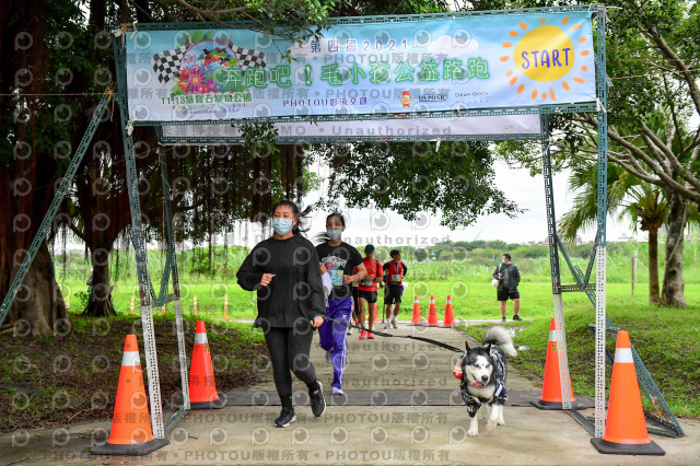 2021第四屆奔跑吧!毛小孩路跑綠寶石寵物公園場