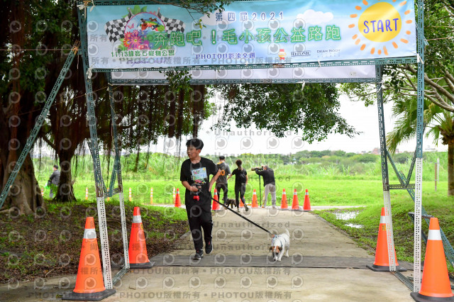 2021第四屆奔跑吧!毛小孩路跑綠寶石寵物公園場