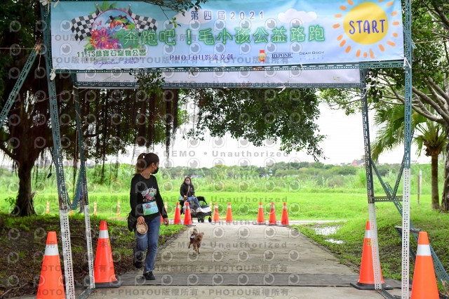 2021第四屆奔跑吧!毛小孩路跑綠寶石寵物公園場