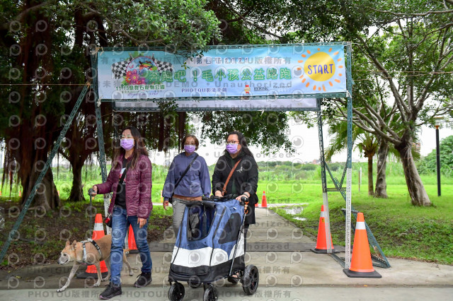 2021第四屆奔跑吧!毛小孩路跑綠寶石寵物公園場