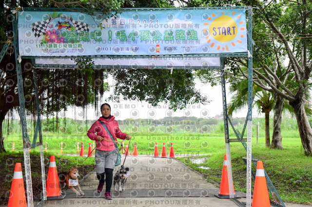 2021第四屆奔跑吧!毛小孩路跑綠寶石寵物公園場