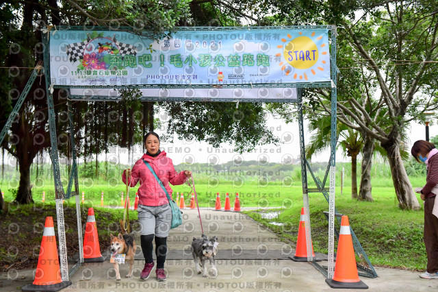 2021第四屆奔跑吧!毛小孩路跑綠寶石寵物公園場