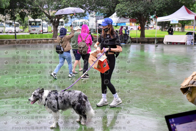 2021第四屆奔跑吧!毛小孩路跑綠寶石寵物公園場