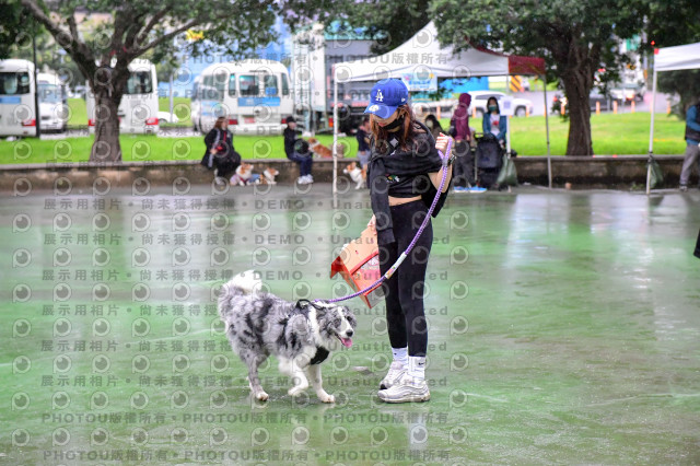 2021第四屆奔跑吧!毛小孩路跑綠寶石寵物公園場